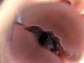 BBM女体図鑑 キス顔とテクニック 3時間　サンプル画像10